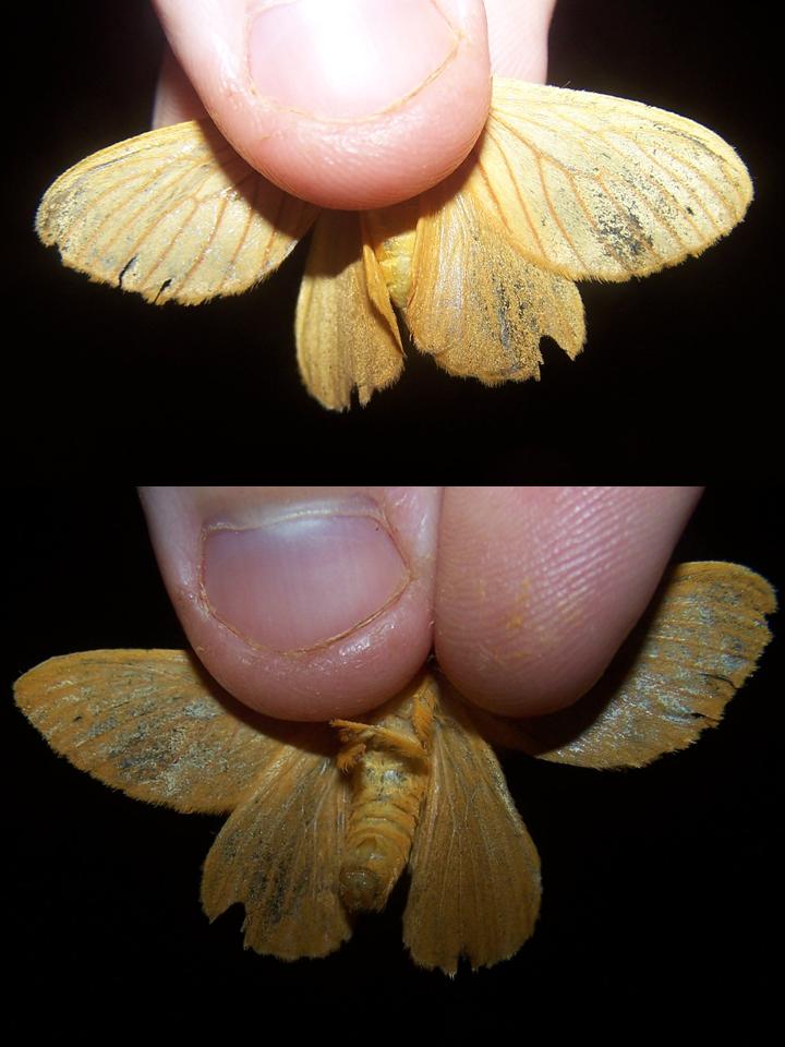 FIGURE 15 FIGURE 15